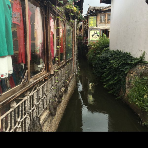 双廊古镇 - 图片9