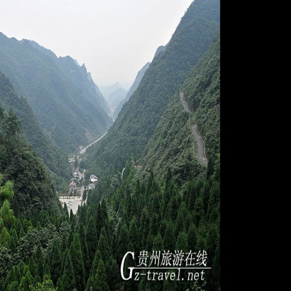 娄山关 - 图片2