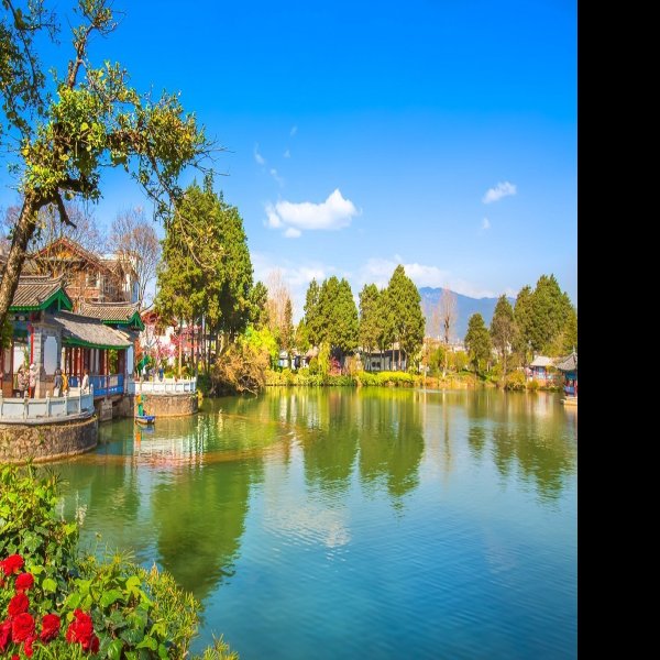 云南丽江黑龙潭公园 - 图片10