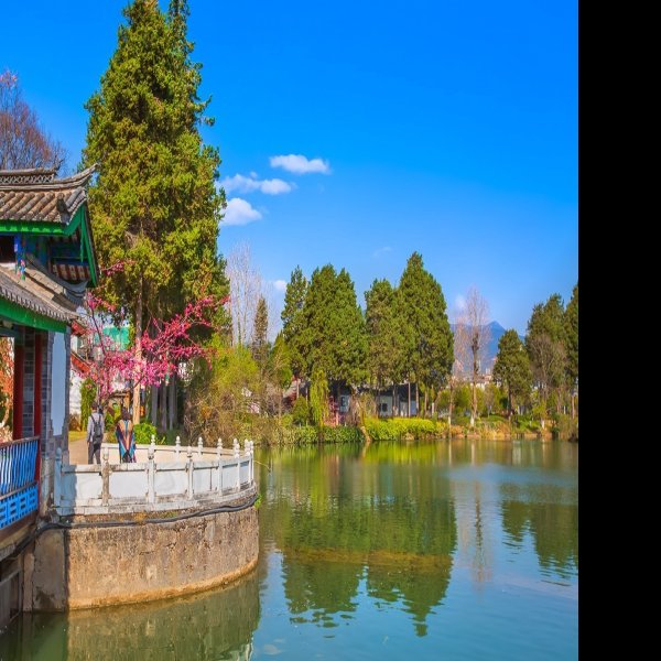云南丽江黑龙潭公园 - 图片6
