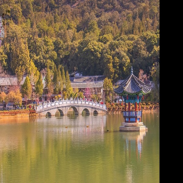 云南丽江黑龙潭公园 - 图片8
