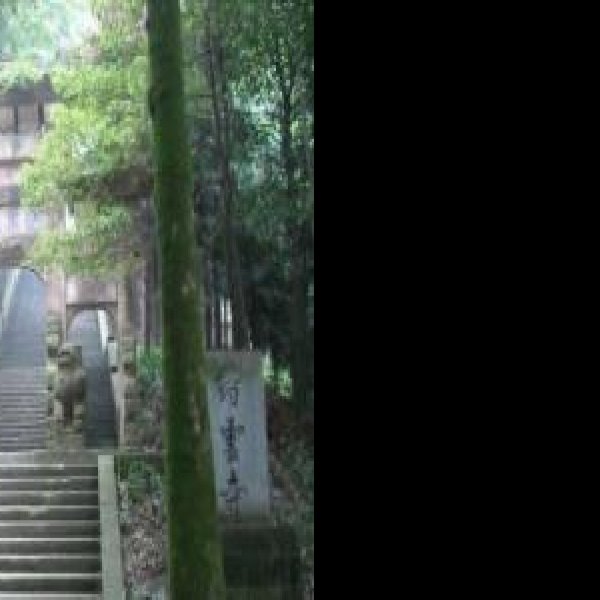 缙云寺 - 图片7