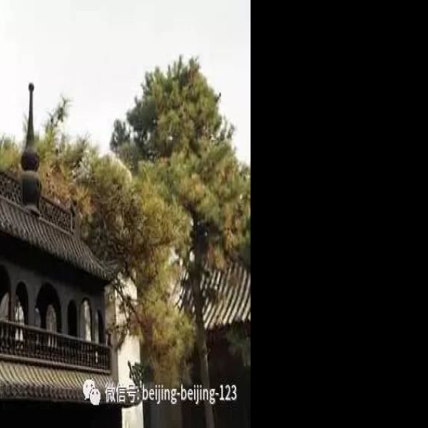 白云观 - 图片10