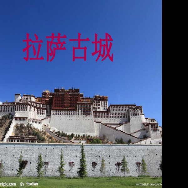 拉萨古城 - 图片3