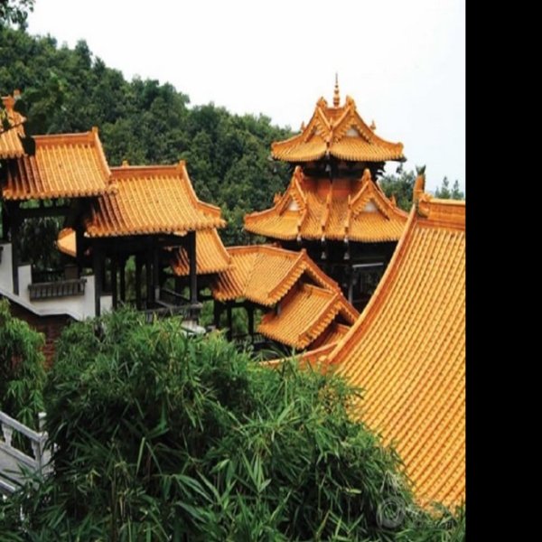 山西阳城海会寺 - 图片3