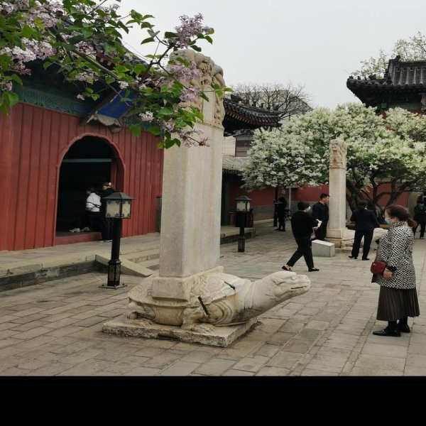 北京智化寺 - 图片2