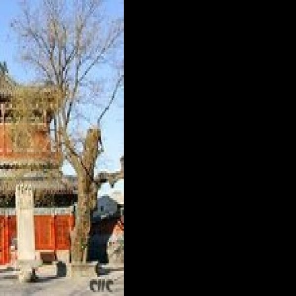 北京智化寺 - 图片6
