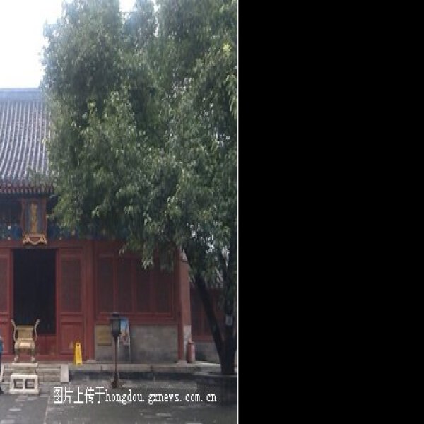 北京智化寺 - 图片8
