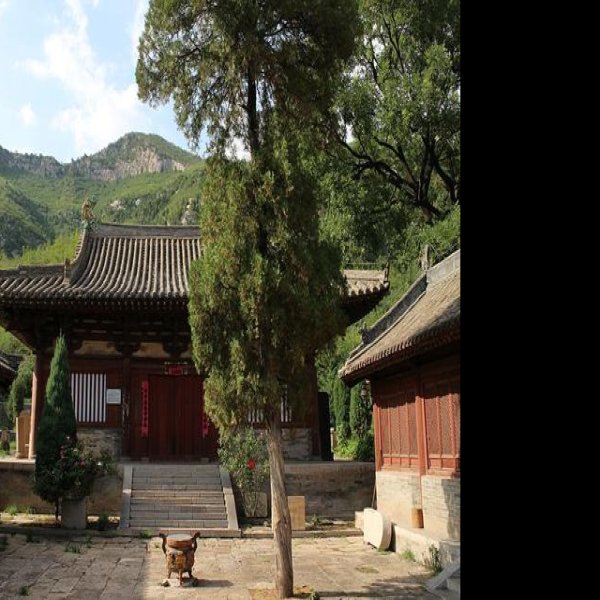 山西平顺大云院 - 图片3