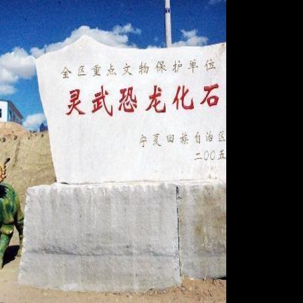 灵武恐龙化石遗址 - 图片10