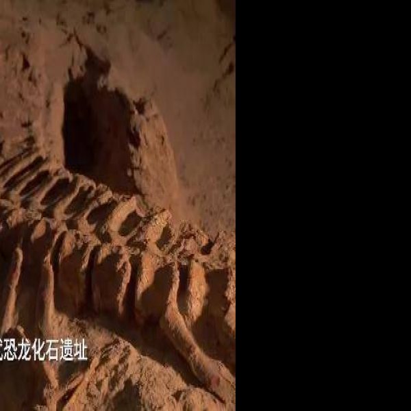 灵武恐龙化石遗址 - 图片4