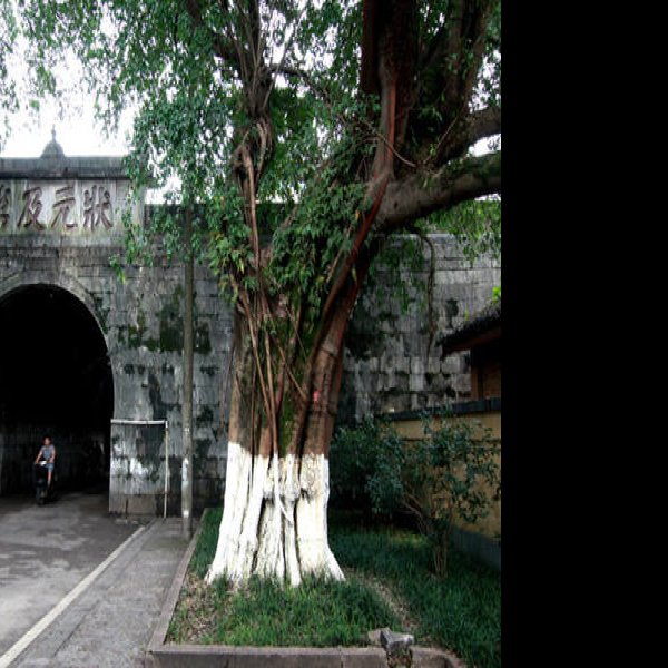 靖江王城 - 图片2