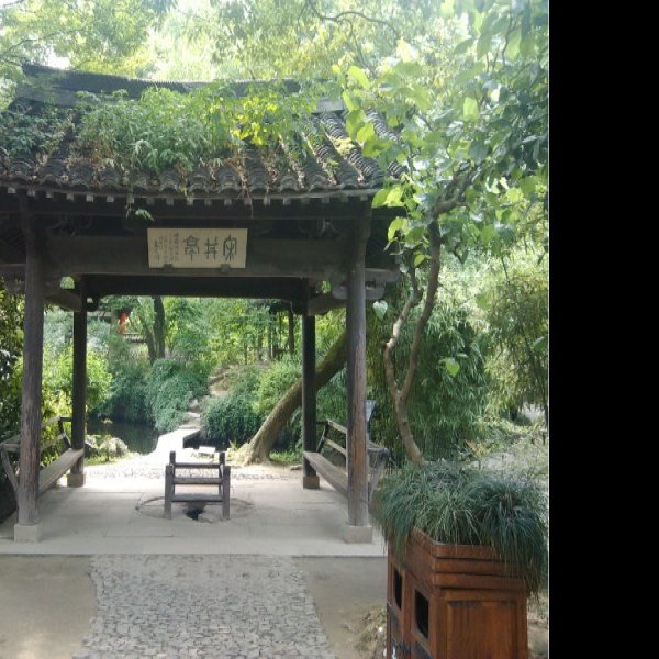 浙江绍兴沈园 - 图片6