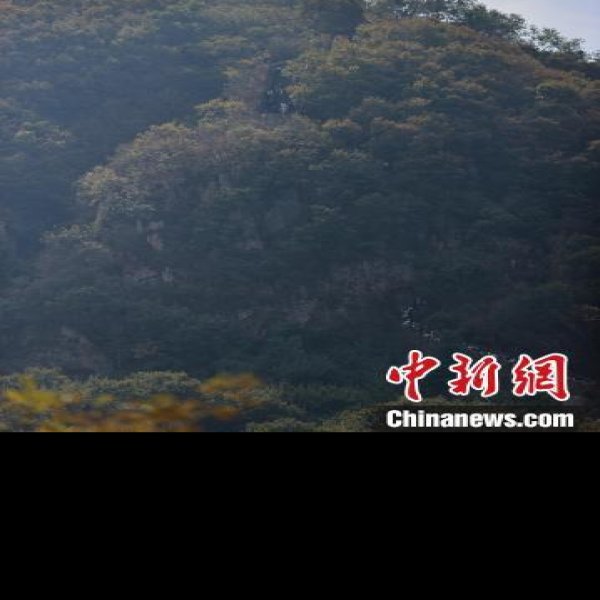 虎山长城 - 图片4