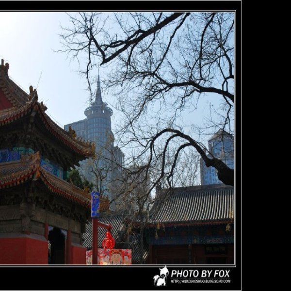 北京东岳庙 - 图片3