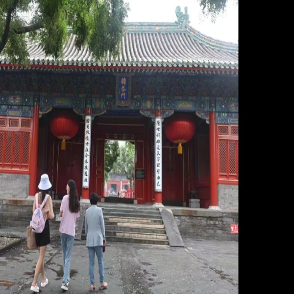 北京东岳庙 - 图片5