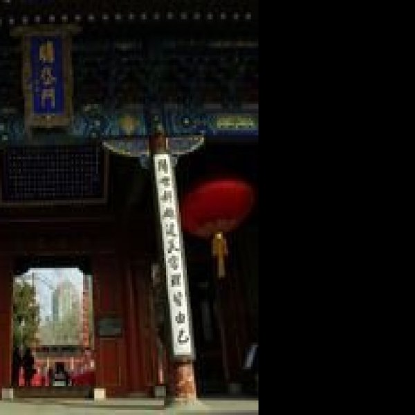 北京东岳庙 - 图片8