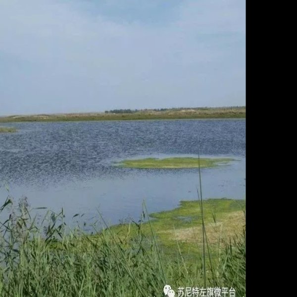 恩格尔河墓群 - 图片4