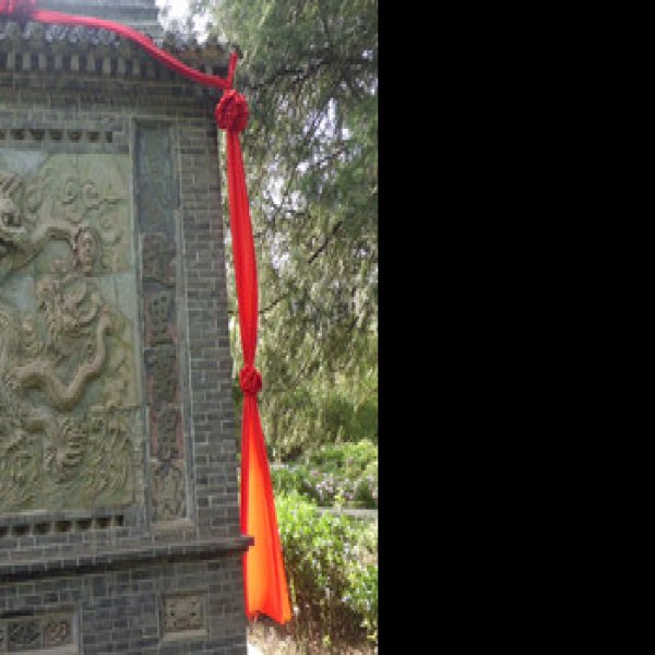 寿因寺大殿 - 图片10
