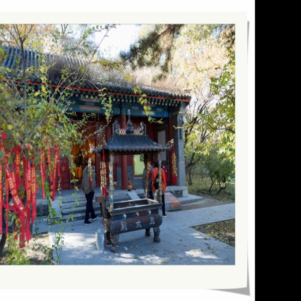 寿因寺大殿 - 图片7