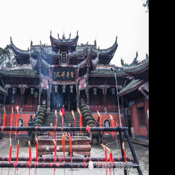 寿因寺大殿 - 图片9