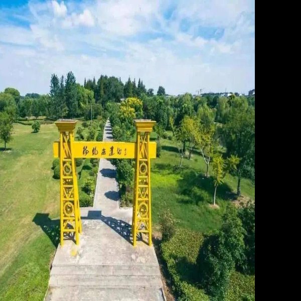 要庄遗址 - 图片7
