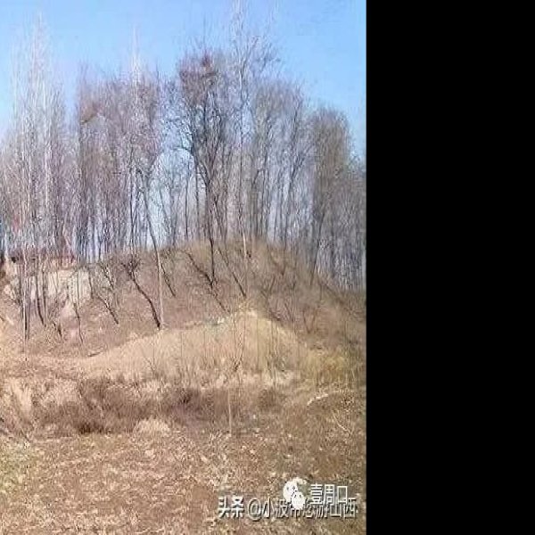 段寨遗址 - 图片1