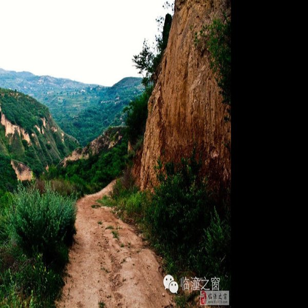 李家沟遗址 - 图片9