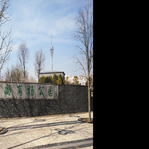 尚岗杨遗址 - 图片10