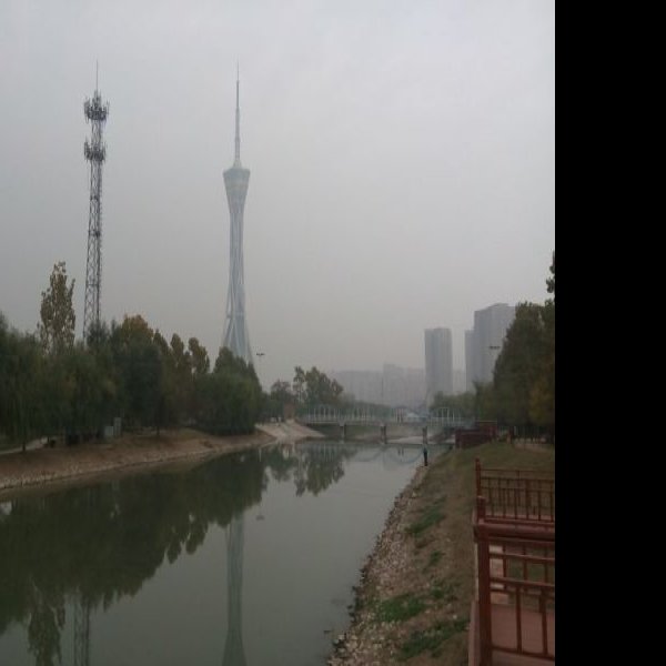 尚岗杨遗址 - 图片7