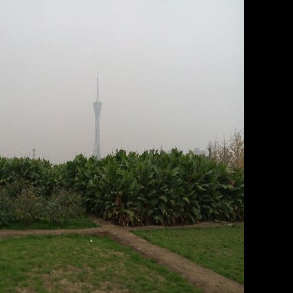 尚岗杨遗址 - 图片8