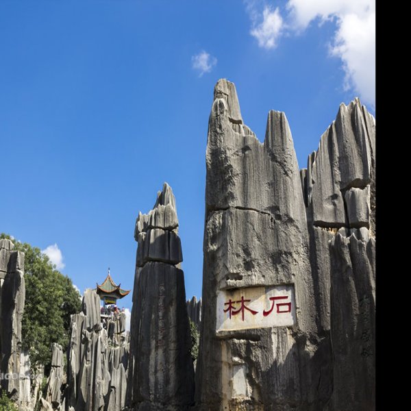 云南石林 - 图片7