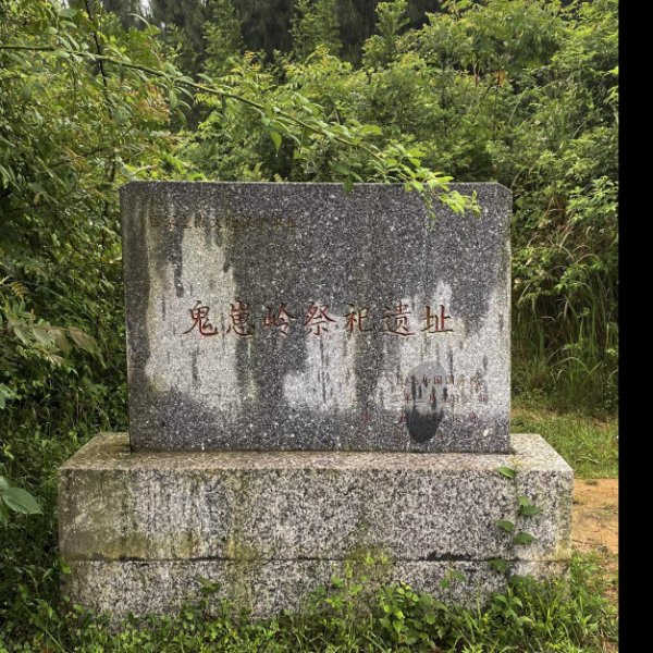 鬼崽岭遗址 - 图片1