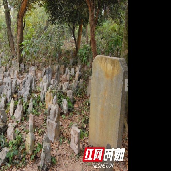 鬼崽岭遗址 - 图片3