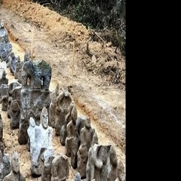 鬼崽岭遗址 - 图片6