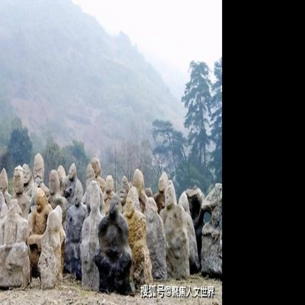 鬼崽岭遗址 - 图片7