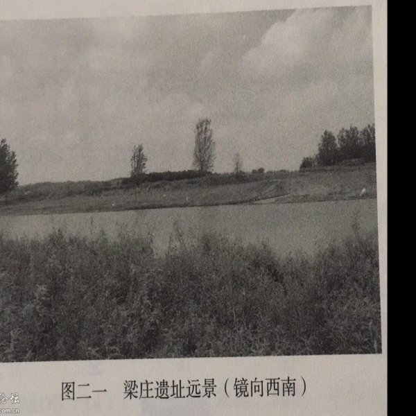 付将沟遗址 - 图片9