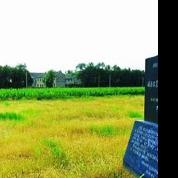 献县汉墓群 - 图片10