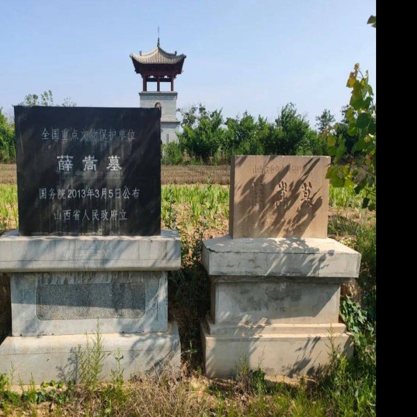 薛嵩墓 - 图片2