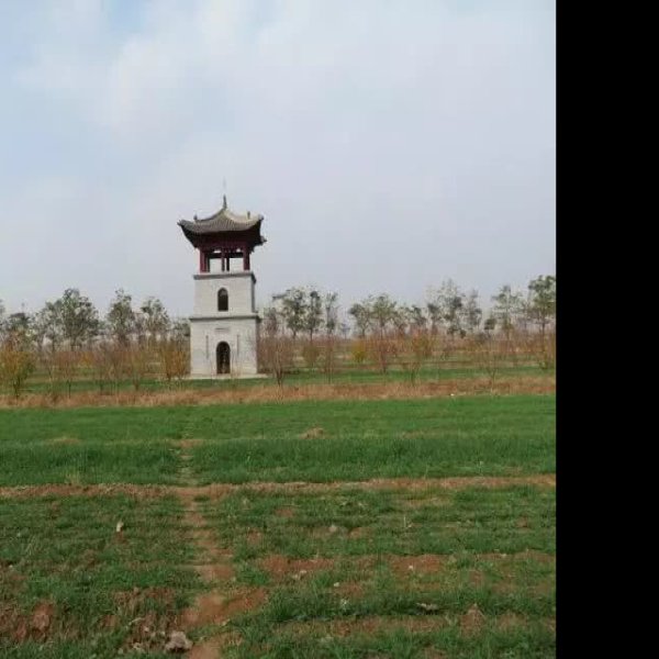 薛嵩墓 - 图片9