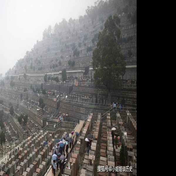 山王墓地 - 图片9
