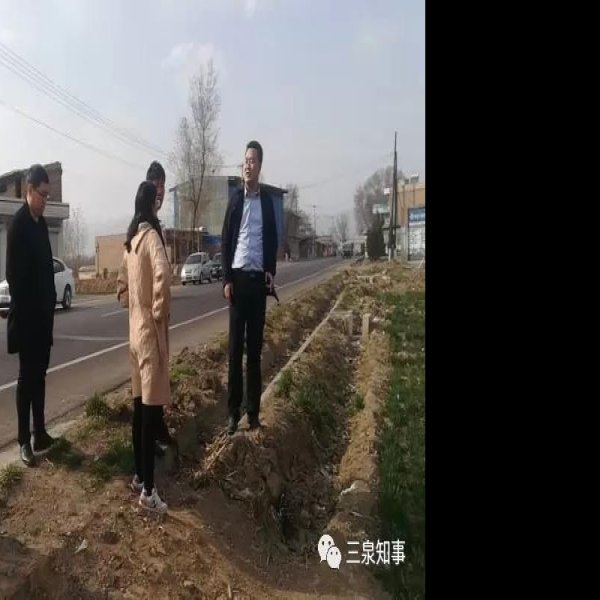 冯古庄墓地 - 图片2