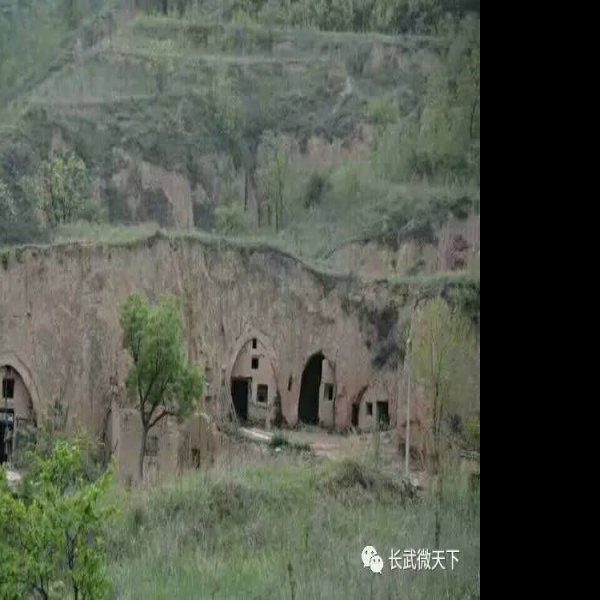 碾子坡遗址 - 图片6