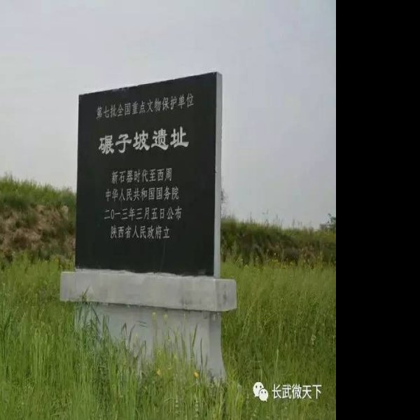 碾子坡遗址 - 图片8