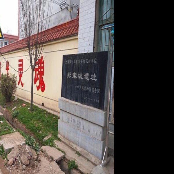 郑家坡遗址 - 图片4