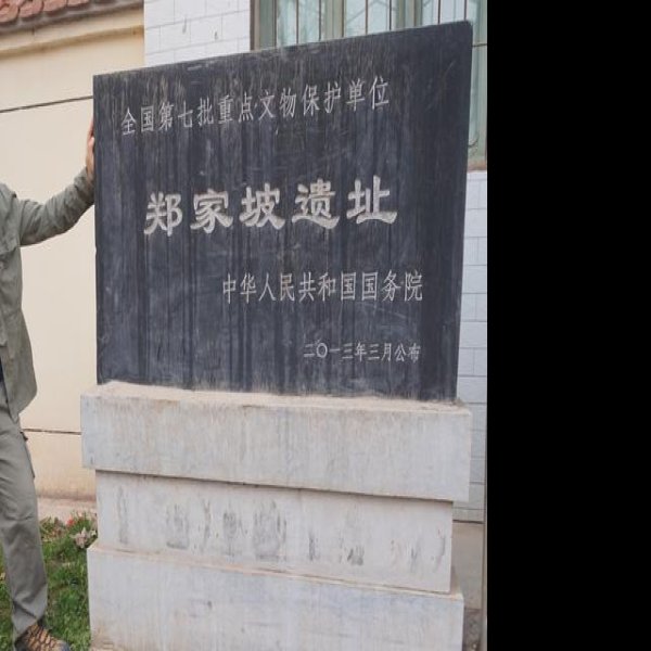 郑家坡遗址 - 图片6
