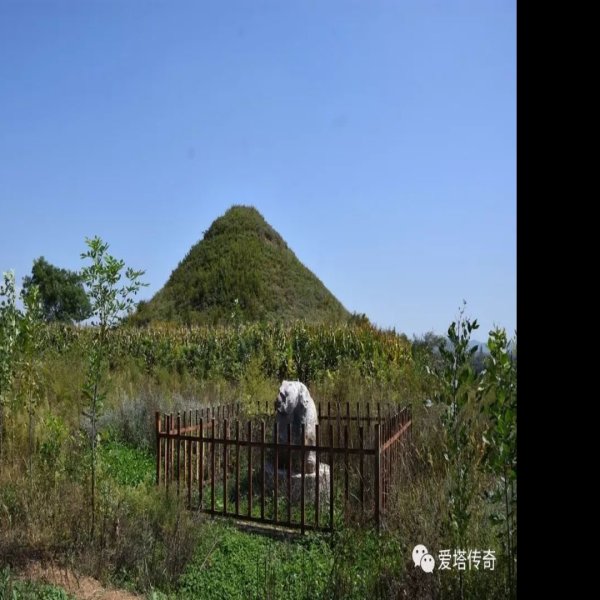 秦直道起点遗址 - 图片7