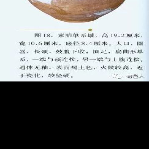 安仁瓷窑遗址 - 图片7
