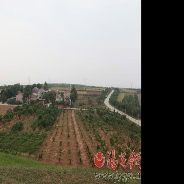 窦皇后陵 - 图片10