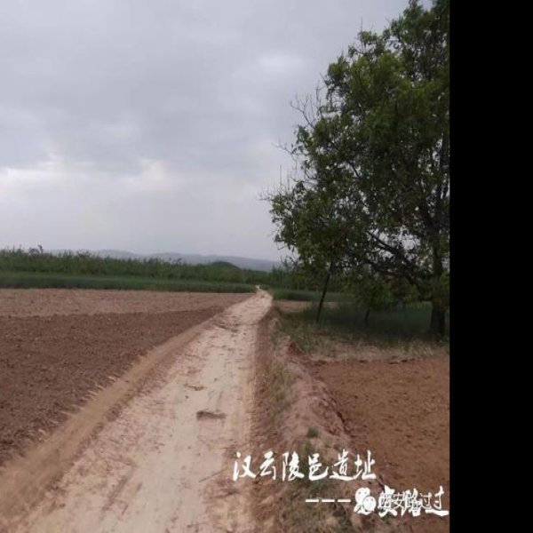 汉云陵 - 图片10
